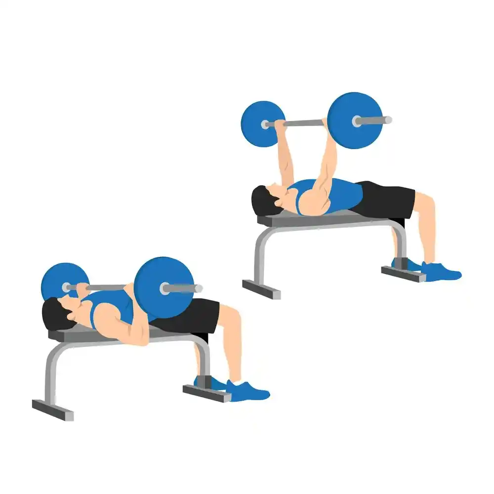 Bench Press
