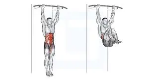 Hanging Leg Raises