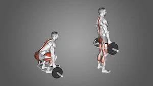 Hex Bar Deadlift