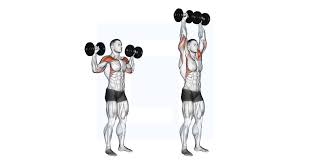 Overhead dumbbell presses