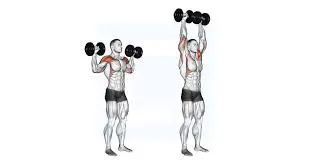 Overhead dumbbell presses