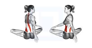 Sitting Rotation Stretch