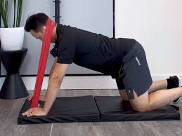 Quadruped Banded Neck Extension