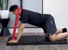 Quadruped Banded Neck Extension