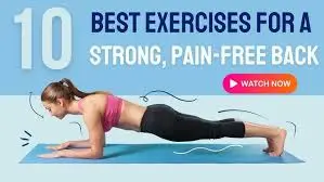 10 Best Exercises for a Strong, Pain-Free Back