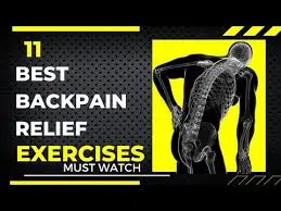 11 Best Exercises for Back Pain