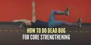 Dead Bug Exercise for Core Strength
