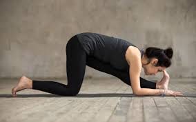 Monkey Pose