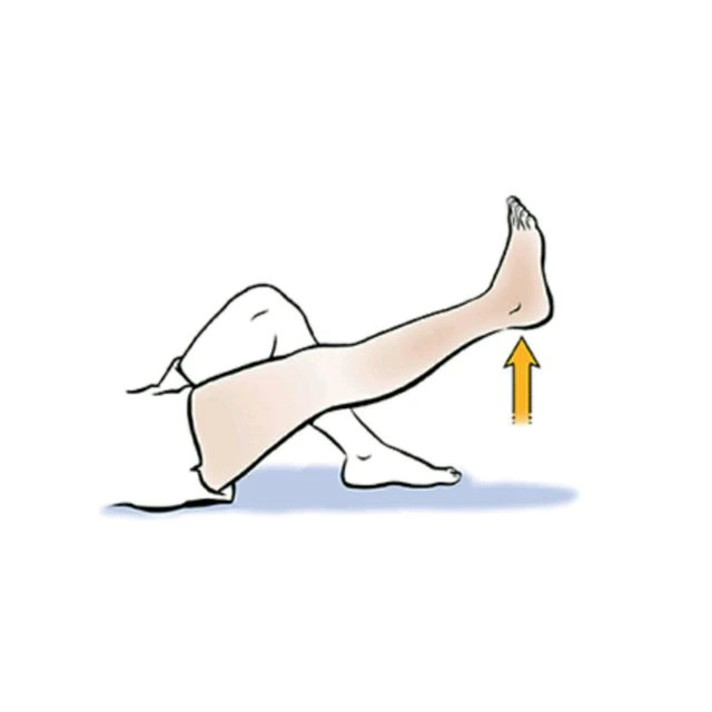 Straight Leg Raise