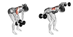 Bent-Over Reverse Fly
