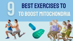 Do These 9 Exercises to Increase Mitochondria
